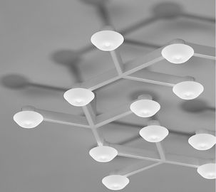 Le plafoniere d'attaccatura del cerchio della rete del LED con il LED riscaldano il bianco per i saloni