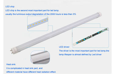 luce 20watt 1780Lm della metropolitana di 120cm T8 LED per illuminazione dell'interno