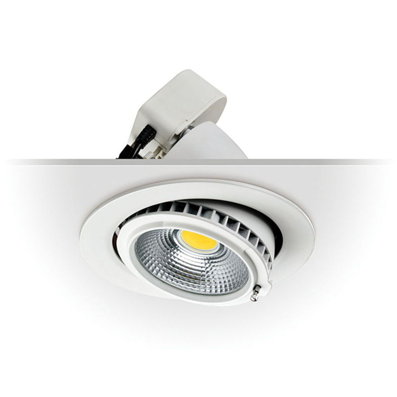 20W PANNOCCHIA economizzatrice d'energia Downlight messo principale commerciale Dimmable in hotel/negozio